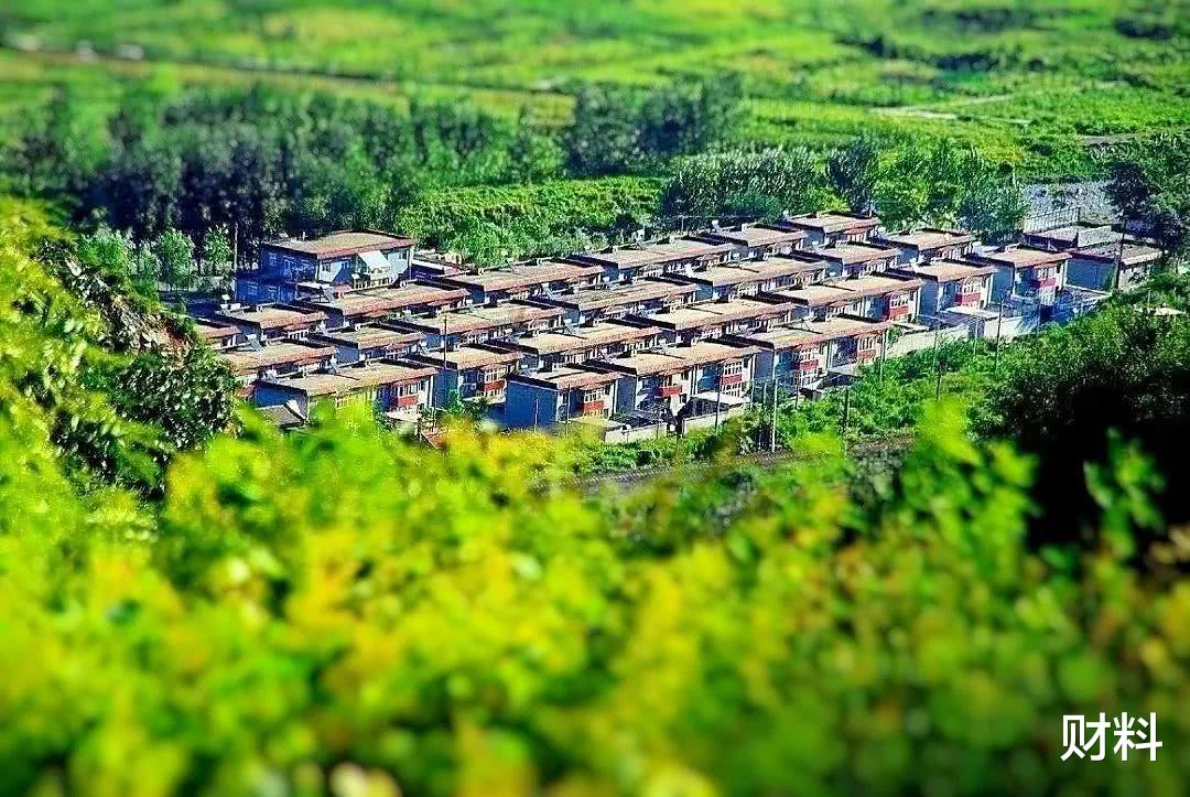 农村宅基地|9月起，农村宅基地迎来4项“禁令”，农村有房子的有“福”了