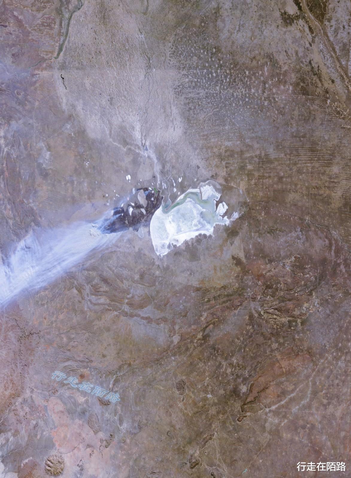 火箭队 “平底锅计划”：中国人远赴非洲治沙，中国游客被特殊照顾