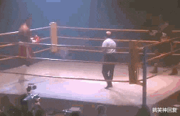 搞笑神回复|神回复:“这个女的就偷了几个荔枝而已,至于绑树上吗?”网友神回复!