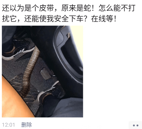 西游记|“猜猜我在张卫健版的西游记里发现了啥！”哈哈哈鸡你太美