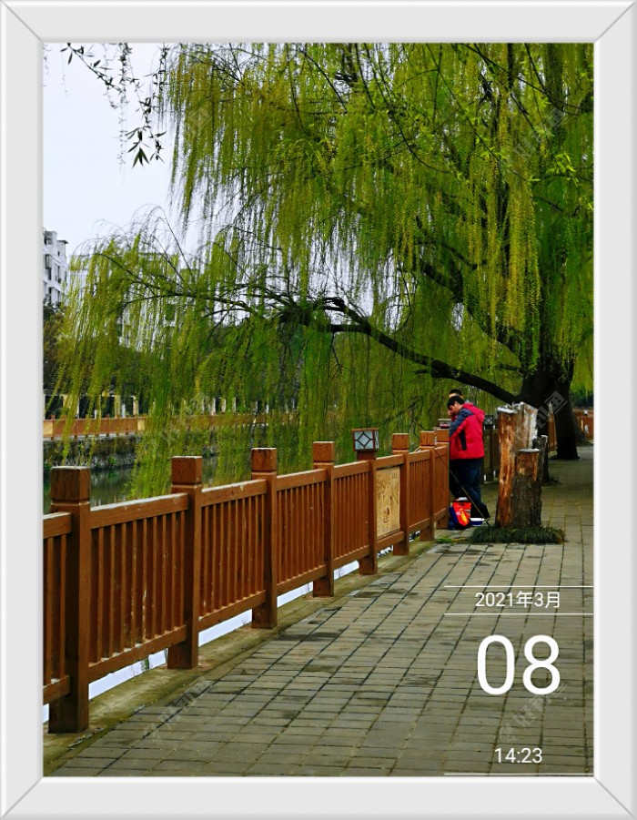 沙滩|早春同一窝点 不宜多次作钓