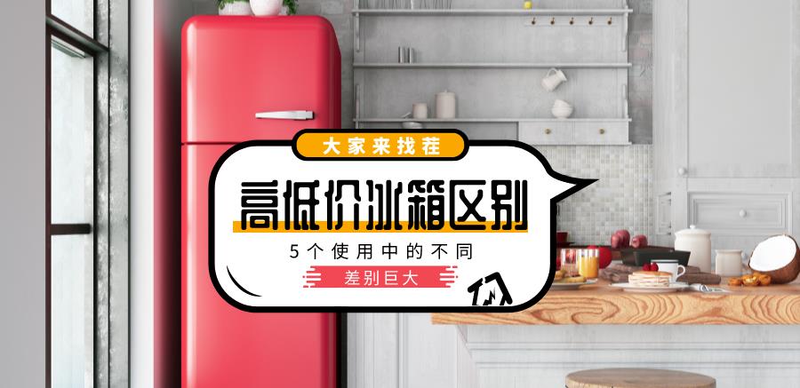|买了两台冰箱，终于搞清楚了两千多和一万多的冰箱有什么区别