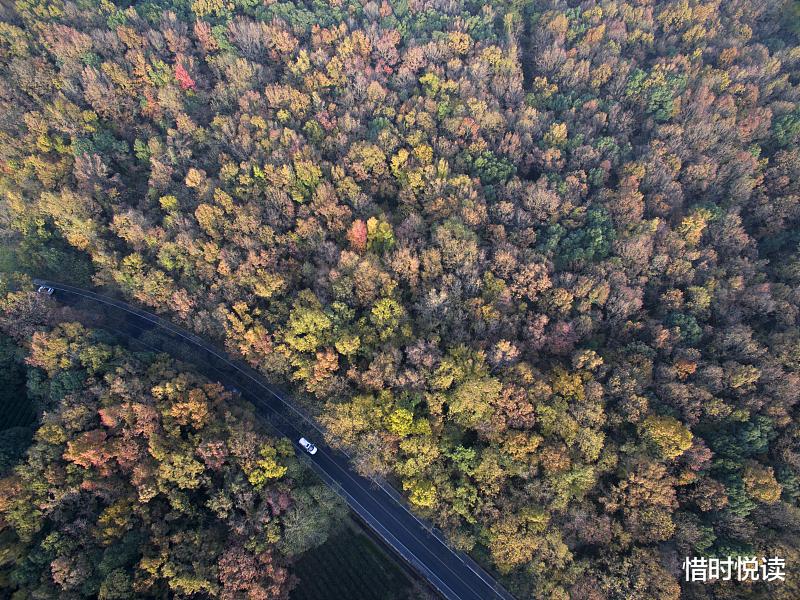 白居易|消除烦恼，这件事没人可以帮得了你，只有你自己