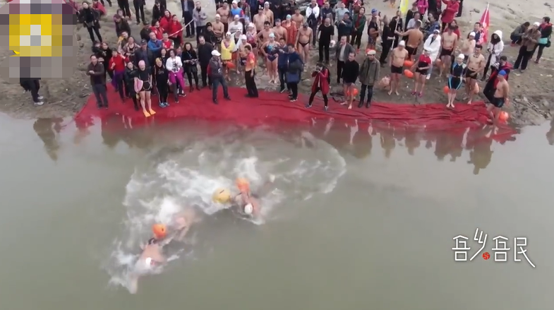 明日社会 “泳”气十足！百人冬泳过新年，嘉陵江里抢抓鸭子