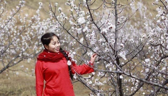 星光大道|花120万上星光大道, 倾家荡产欠债40万, 自曝黑幕的崔苗如今怎样了