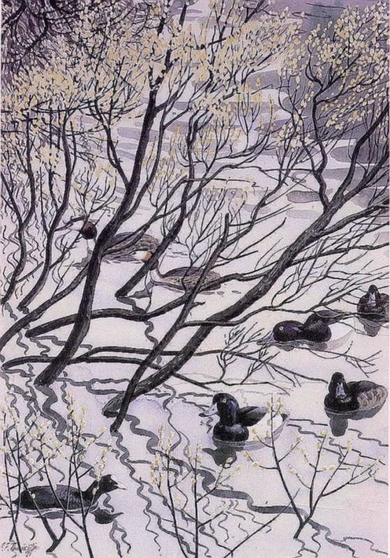 英国查尔斯.图尼克利夫(Charles.Tunnicliffe)禽鸟水彩画