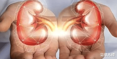 肾病综合征|中医治疗原发性肾病综合征(一)