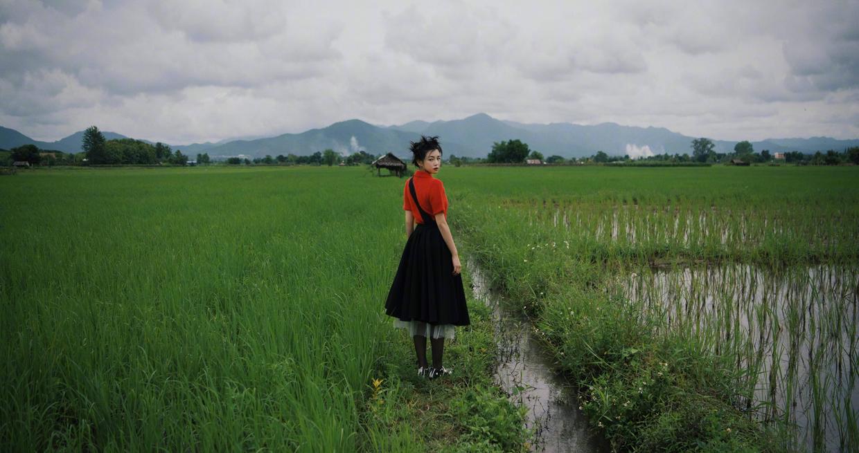 何有强|陈妍希真给陈晓长脸,一袭印花抹胸裙成熟精致,曲线丰盈惹人羡