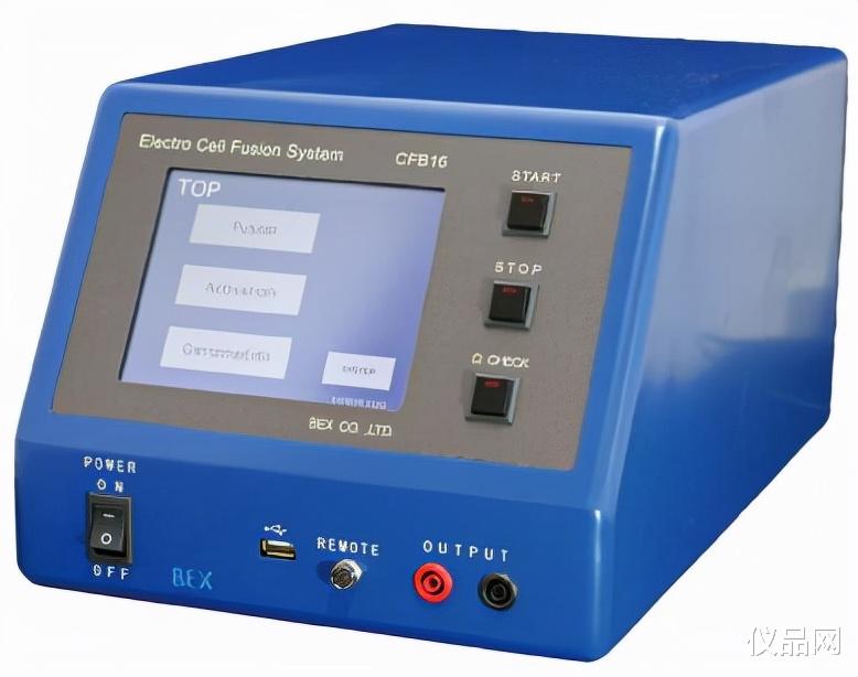  克隆羊多莉的形成，你又对它了解多少？让我们一起来看下吧