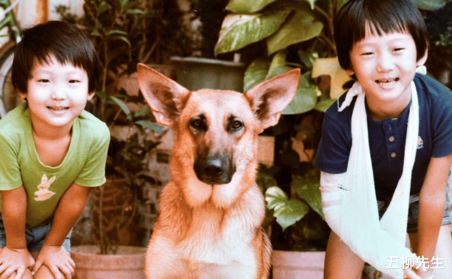 洪天明|洪金宝儿子洪天明晒家庭旧照，评论区很热闹，祖孙三代似复制粘贴