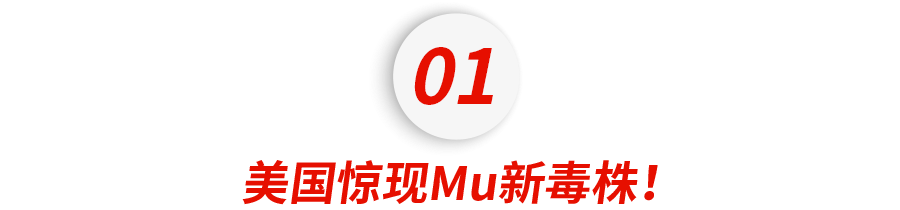 红团团医生LYNN|美国、日本惊现新变异毒株Mu，比Delta还恐怖，打疫苗了也没用？