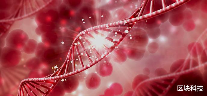 基因 无限增殖的海拉细胞背后，或许隐藏着人类永生的秘密