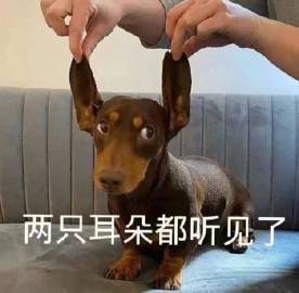 桉月|表情包：吃完这个就减肥
