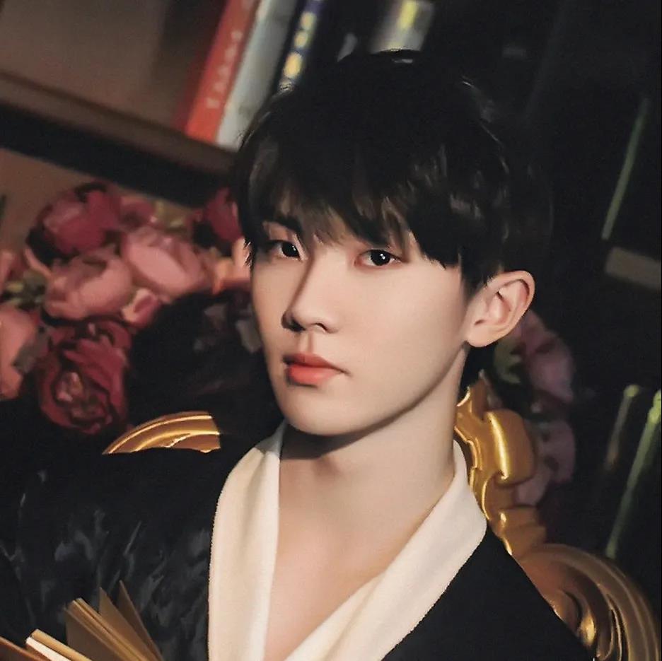 孙俪|刘耀文、丁程鑫、马嘉祺、张真源、严浩翔、贺峻霖头像壁纸：优秀的发圈文案