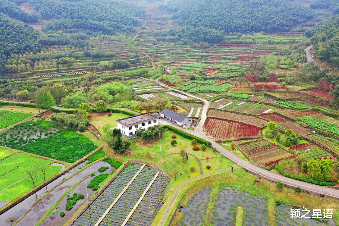 福建省 宁波规模最大的牡丹花园，居然深藏了五年，为啥不欢迎观赏