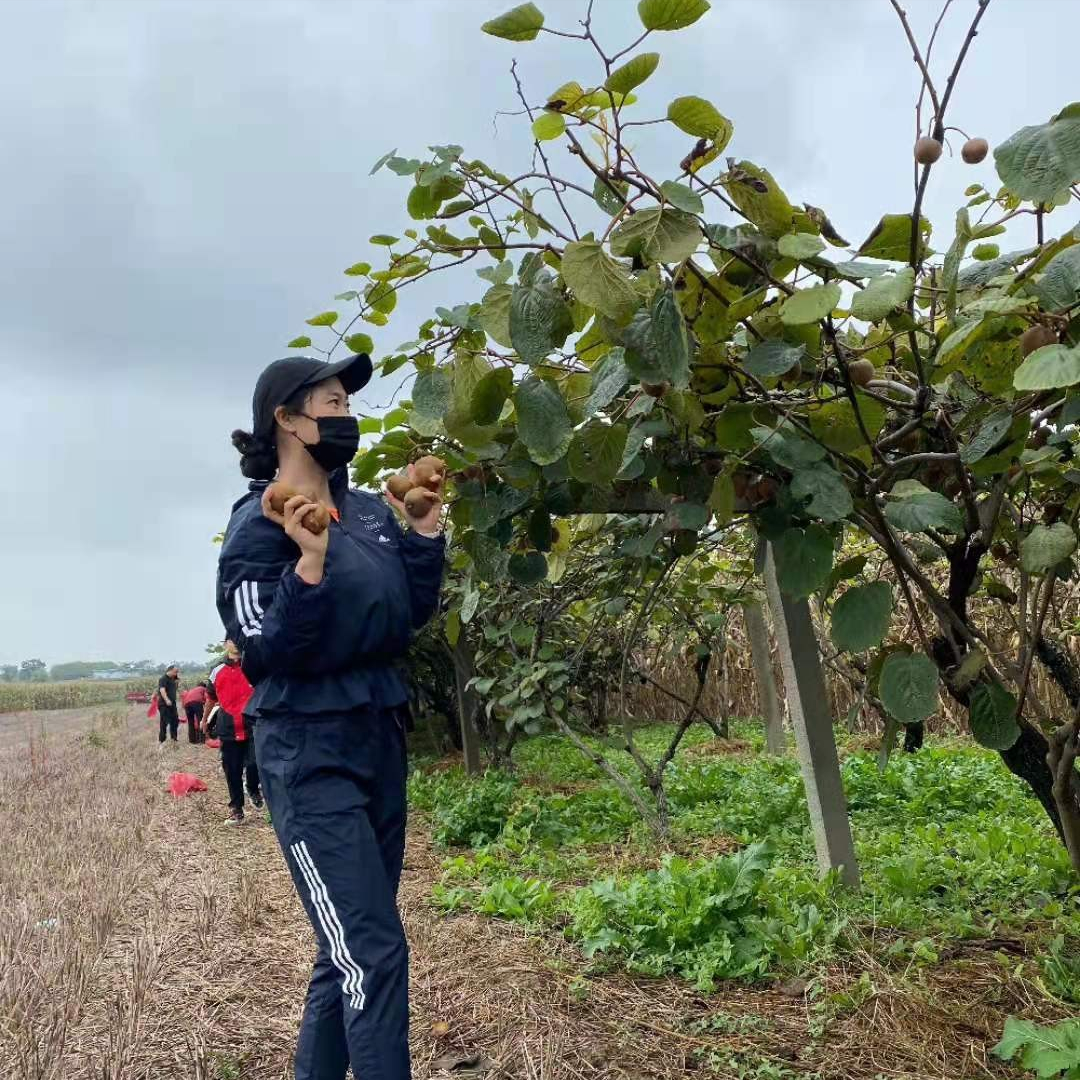 lv|三次考北大，27岁成网红鼻祖，怀孕被男友抛弃，如今芙蓉姐姐怎样了