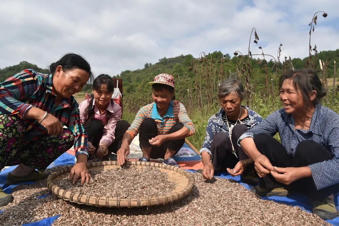 荔波资讯 荔波丙外村:勠力同心拔穷根,砥砺前行奔小康