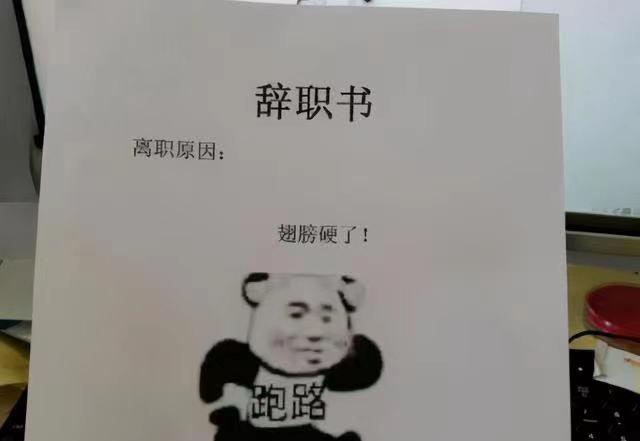00后|00后员工辞职信火了，“怒怼”老板不留情面，80后看了：我不敢