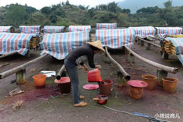 小筱说育儿|网友:五十年代,苏联是真的主观上在帮助中国工业化