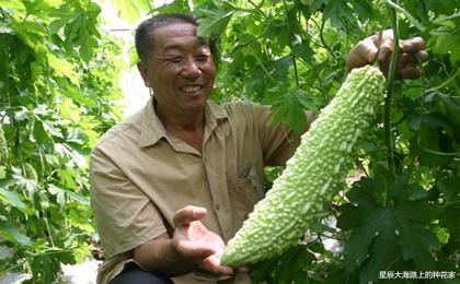 市值 太空辐射能让人基因突变甚至死亡，为什么还能让植物种子变高产？