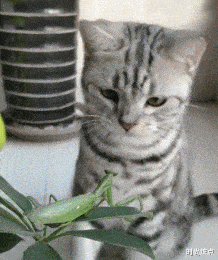 时尚炫点 “为什么大学女生看起来要比男生有钱的多？”