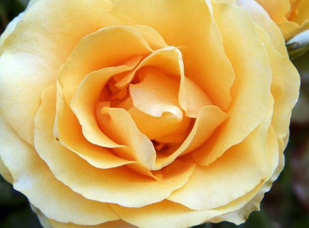 生肖|4月23至4月30日开始,三大生肖即将遇到自己的贵人,根本不愁事业