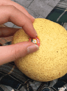 |“钓鱼钓到这玩意，还真没见过，这是啥鱼？”