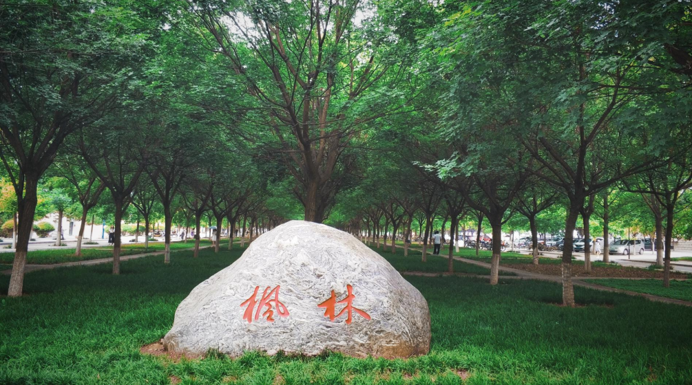 高校|坐落在小县城的985高校，录取分数常年偏低，适合学生捡漏