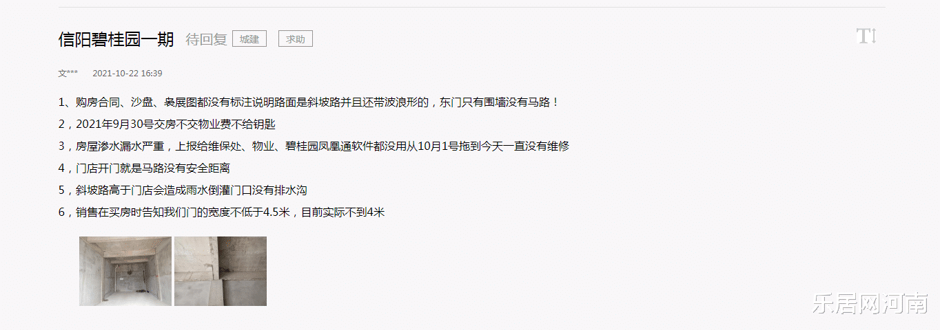 碧桂园|碧桂园河南：凤凰浴火丨韧性①