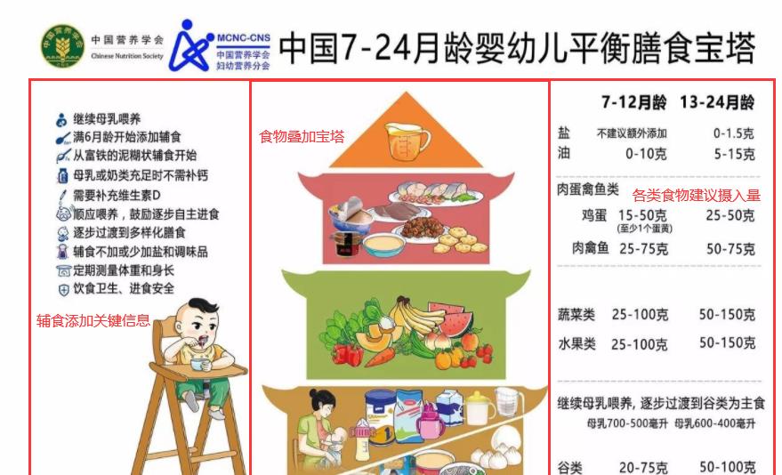 吴洪娜聊说育儿|7-24个月的宝宝如何喂养？每天吃几次奶几次饭？安排指南可收藏