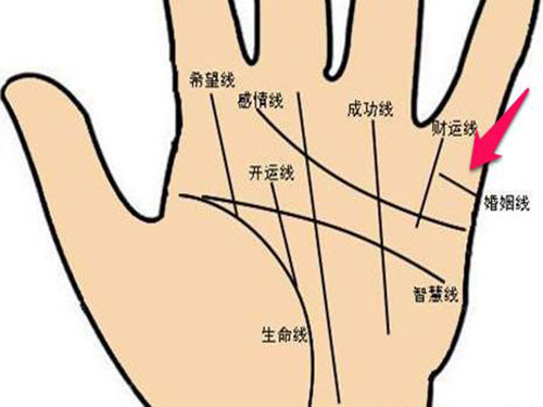 鸿坤风水说生肖|通过手相婚姻线怎么看婚姻好坏