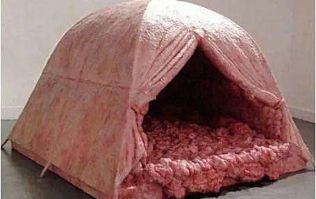 重庆 只要在帐篷里住一晚就给1万，报名者众多，看到帐篷后却无人敢试