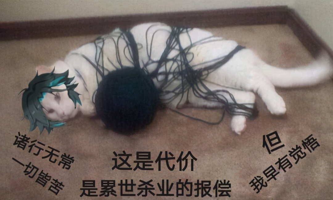 原神|这才是真正的文化输出?国产游戏一个更新,竟拉来全球玩家一起过年