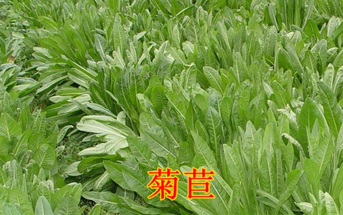 老姚说健康|尿酸高了先别慌，这8种食物，经常换一种吃一些，或帮助远离痛风