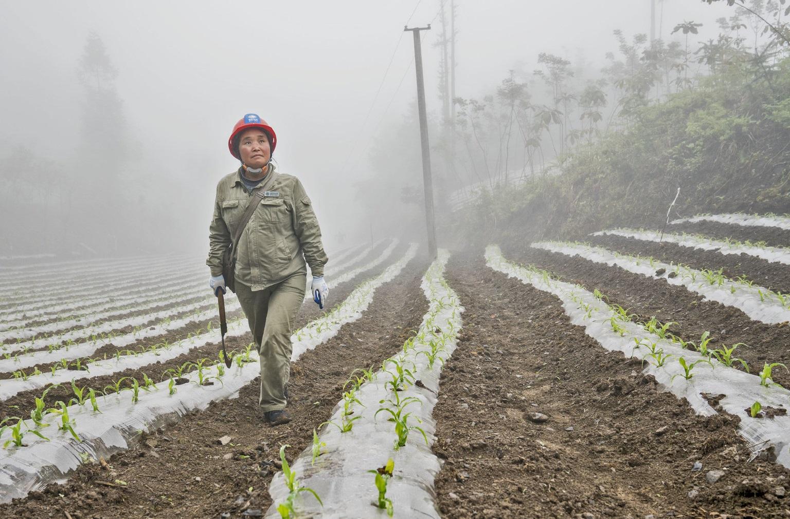 那些你所不知的有女性存在的行业