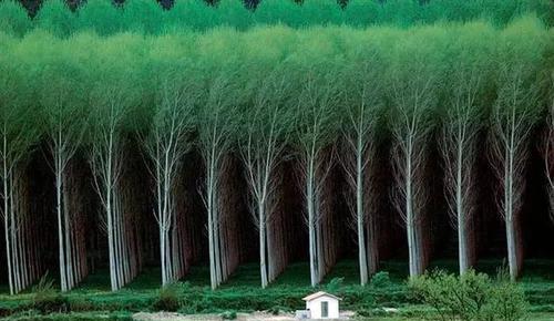 舜网 大自然也是厉害的PS大神！35张神级摄影图惊艳世人！！！