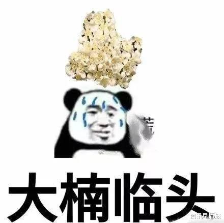 资讯早播报 一夜春风吹,苏城百花开,我姓石,我向全苏州人“道歉”!