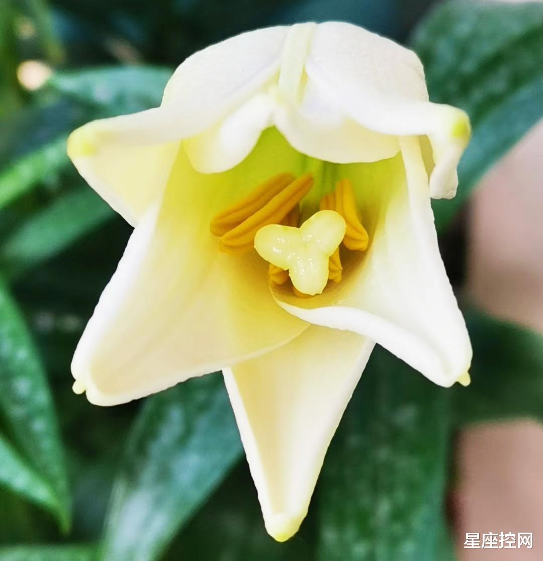 |哪些生辰出生，出类拔萃，懂得灵活变通，职场悍逢敌手，前景看好