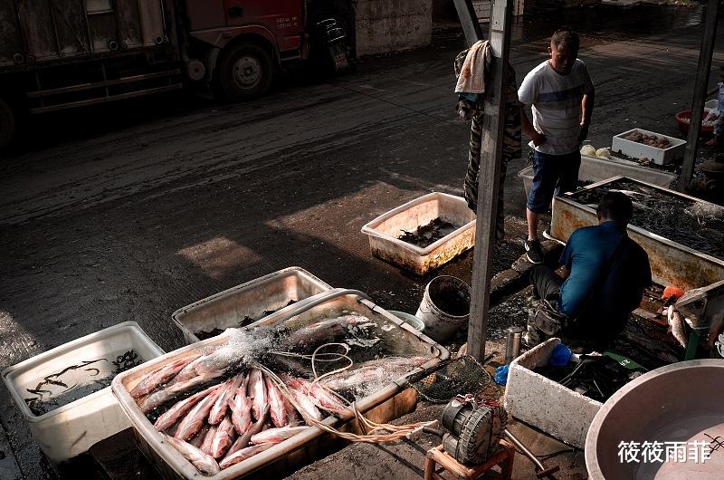 筱筱雨菲|菜市场的鱼贩子为什么都喜欢用黑色塑料袋？