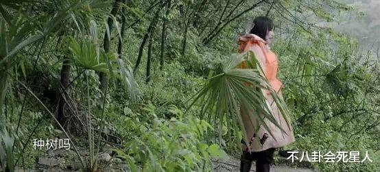 李雪琴|《向往》迎来直爽女嘉宾，一来就干活钓鱼做凳子，还大方自揭老底