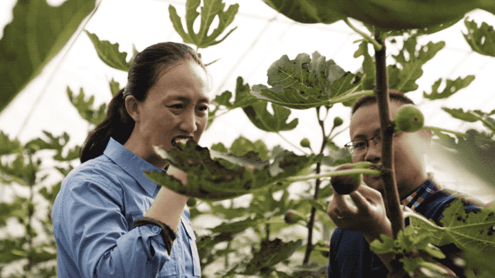 蟑螂|一对高学历夫妻的10年：有钱不享受，过得灰头土脸却很骄傲
