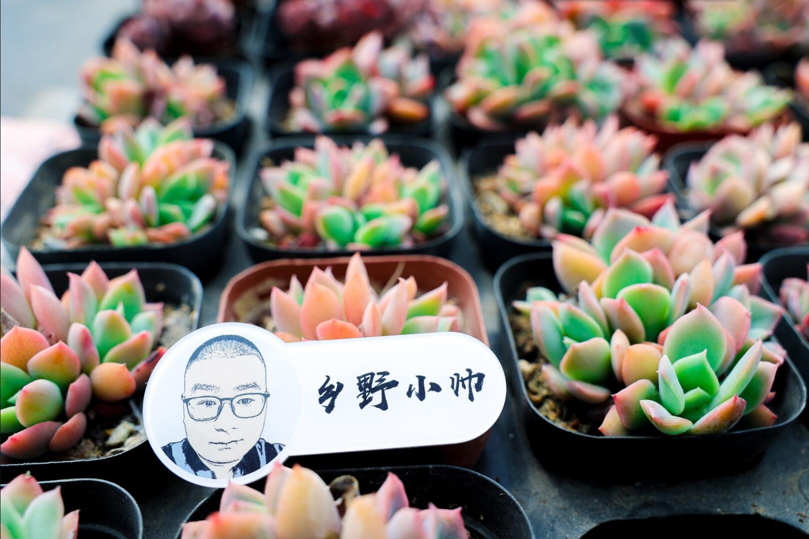 乡野小帅 肉肉度夏困难？听小帅告诉你度夏可以这样做