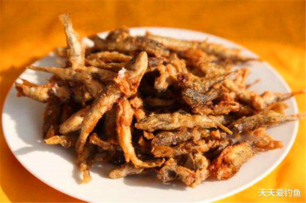 饵料|白条鱼让钓鱼人又爱又恨,想要多钓白条,一定要用“动态”的钓法