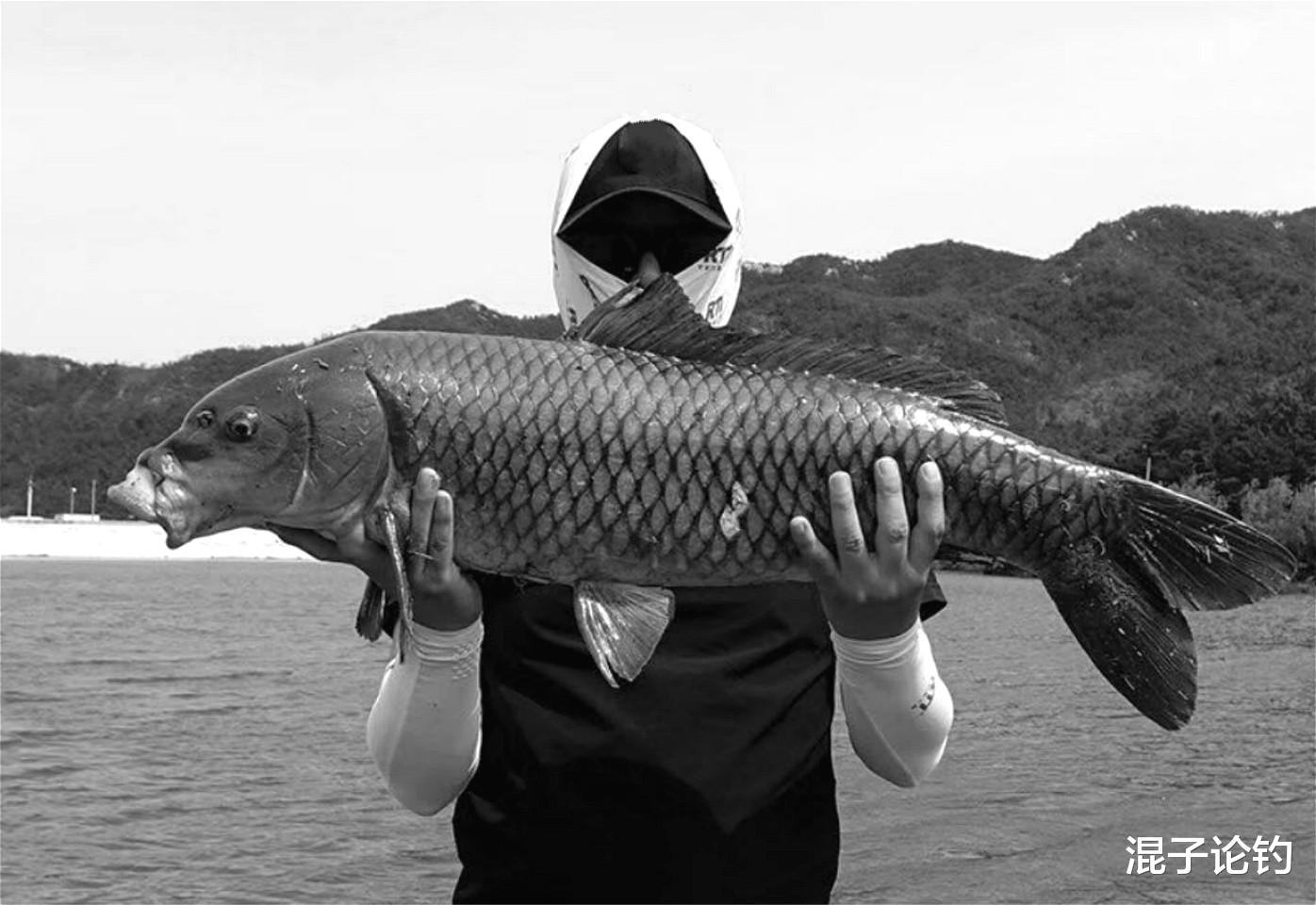 蜂蜜|千篇一律的“新手钓技”看够了?咱今天聊点干货