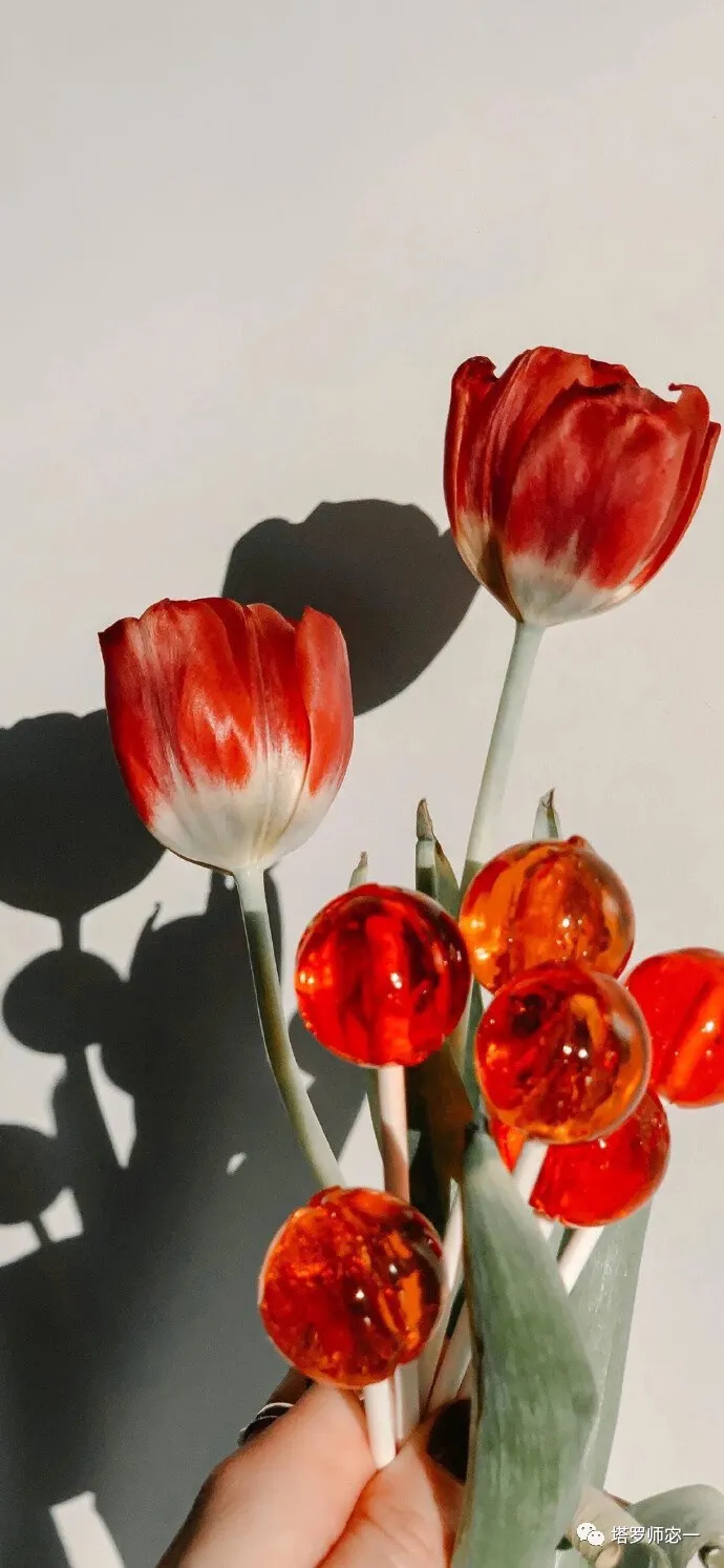 占卜师宓一|塔罗占卜真心:TA心里是如何看待你们的关系的?