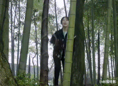 杨紫|杨紫和张艺兴真有猫腻？