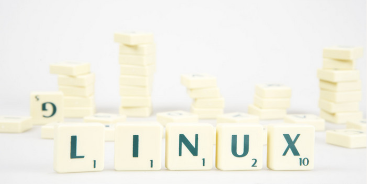 Linux|面向初学者的Linux目录结构