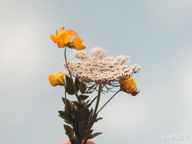 心理苏庸子|彼此深爱的两个人，如果各有家室，请仔细想想这3句话