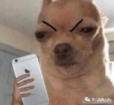 朱之文|五毒俱全的双面人,这次闹出人命了?