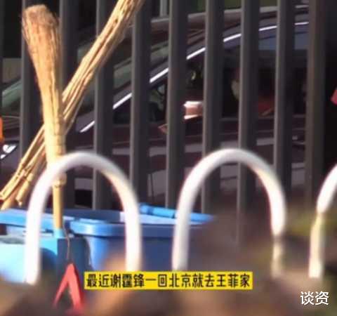 李亚鹏|李亚鹏独自一人吃饺子，脱发秃顶太心酸，王菲与谢霆锋豪宅约会好欢乐